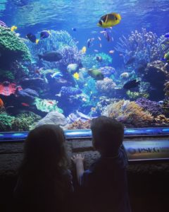Aquarium Riverhead, Long Island
