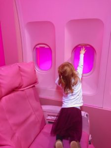 Flugzeug in pink