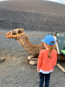Kamelreiten auf Lanzarote