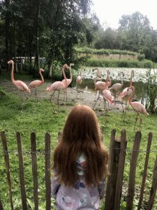 Zoo Leeuwarden