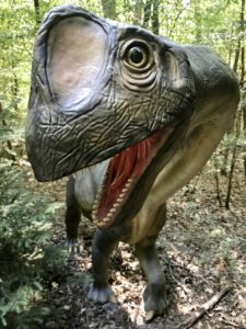 Ausflug in den Dinopark Bayern